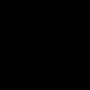 Meet your Posher, Kiera